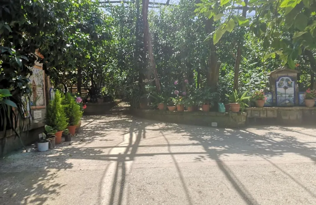 Agriturismo Il Giardino di Vigliano-1