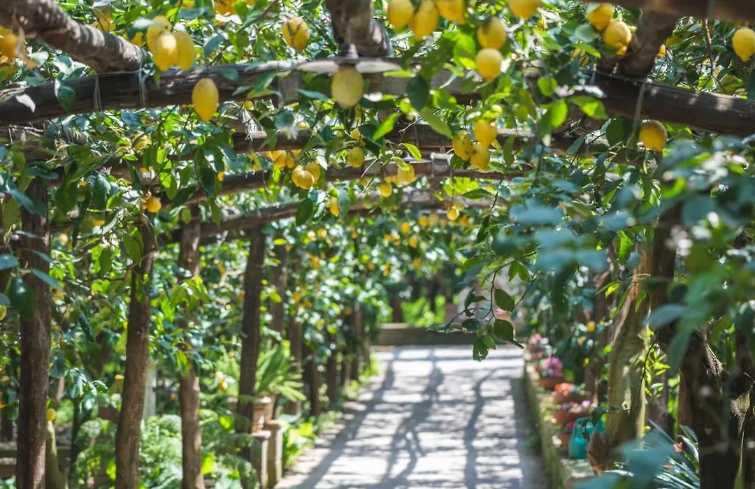 Agriturismo Il Giardino Di Vigliano-1